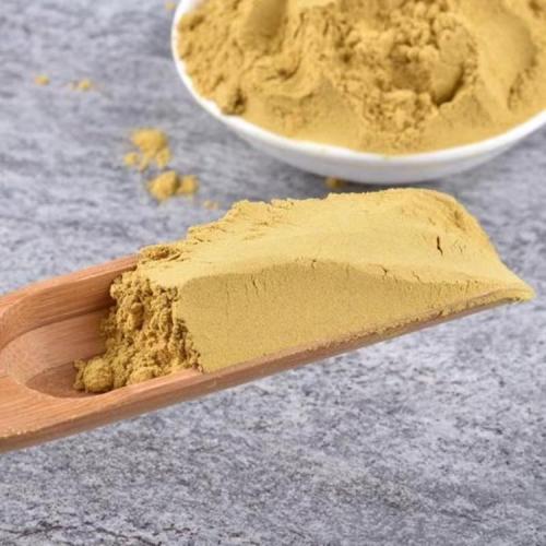 Free Sample Organic Astragalus Root Extract Powder