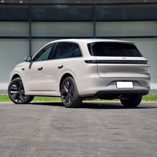 Ведущий идеальный L6MAX Gold Electric Medium