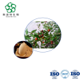 Ziziphi Spinosae Semen Extract for Natural Sleep Support