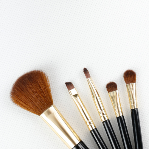 Mini Makeup Brush Portable Set