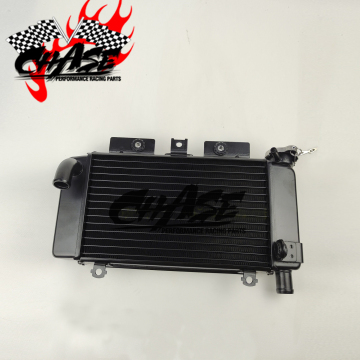 Water Cooler Radiator for CFmoto 250SR CF250 6 6A Engine Parts