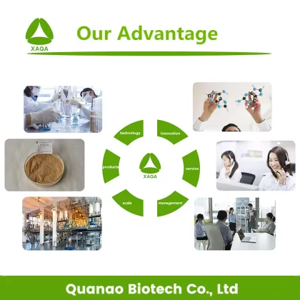 Tartary Buckwheat Extract Powder 10:1