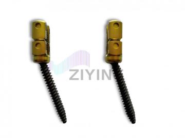 Anodized Spinal Titanium Bolts