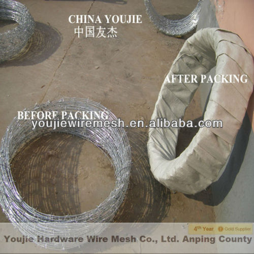 Galvanized Barbed Wire (peofessional factory ISO9001)