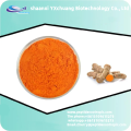 supply Freeze dried Aloe vera extract powder