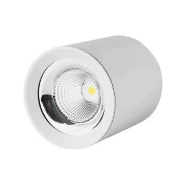 Cylindrical ceiling lamp for entrance