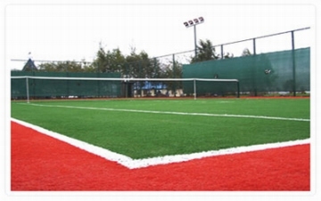 Professional Grass for Tennis Court