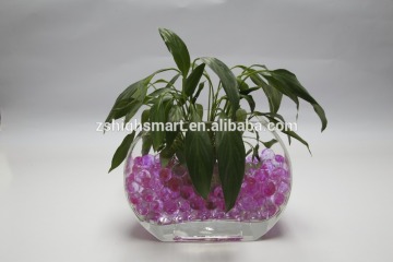 Hydroponic Color Clay Pebbles Growing bead for sale