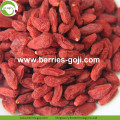 Baixo Açúcar Natural Nutrição Doce Comum Goji Berry