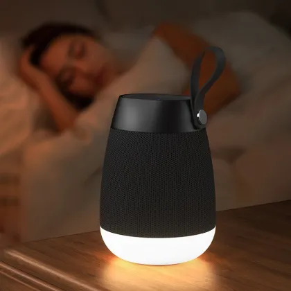 Portable Wireless Hi-Fi Speaker System