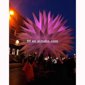 Fashion Inflatable Flowers