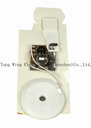Music/Sound/Recordable Chip for Greeting Card