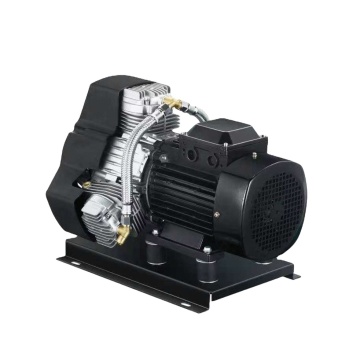 Inexpensive Portable Industrial Vacuum Pump with Oil-Free Technology and Plug