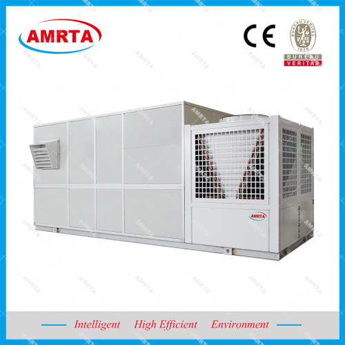 Low Temperature Rooftop Air Conditioner with Economizer