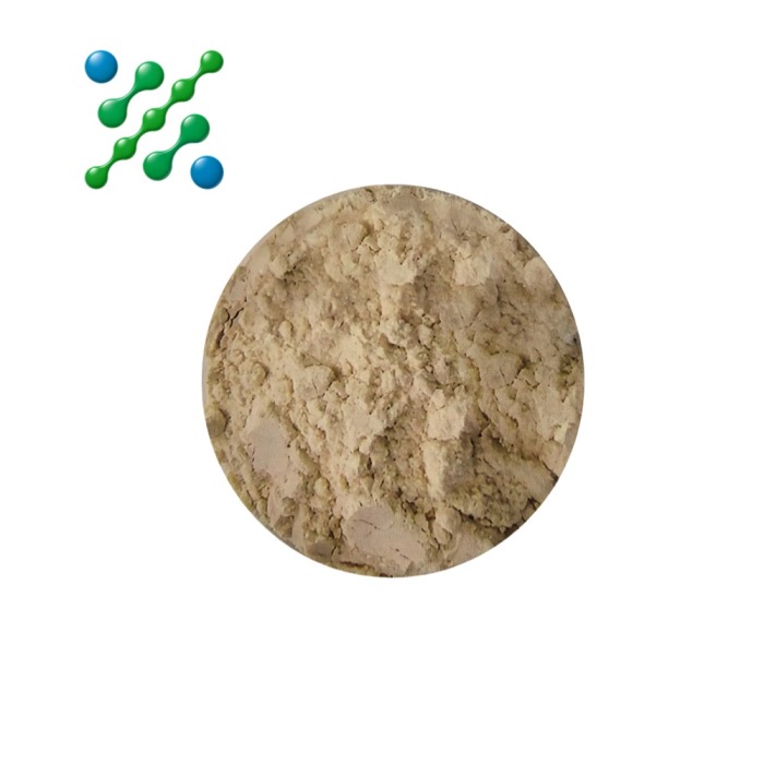 Extrato de Folha de Ginkgo Biloba