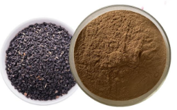 black sesame seed extract