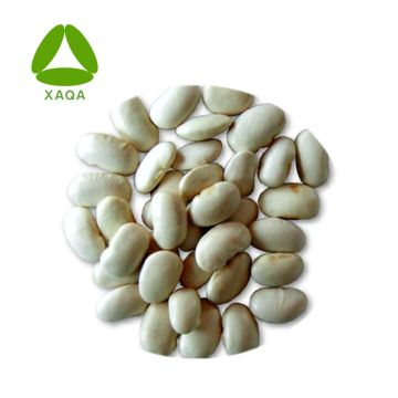 Fat burning white kidney bean extract powder1% Phaseolin