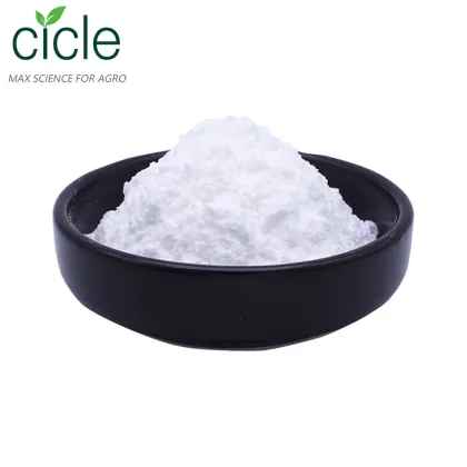 L-Arginine Arginine Powder 99%