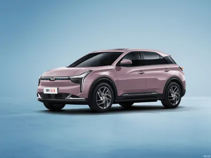 Neta U Pro Neta U-II Electric Car