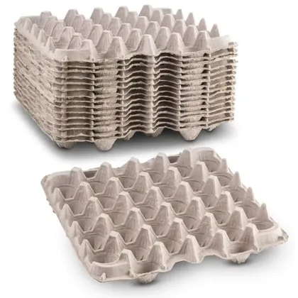 Green Paper Egg Tray for Safe Egg Storage