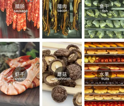 Commercial Stainless Steel Dried Meat Jerky Dehydrator for Sale