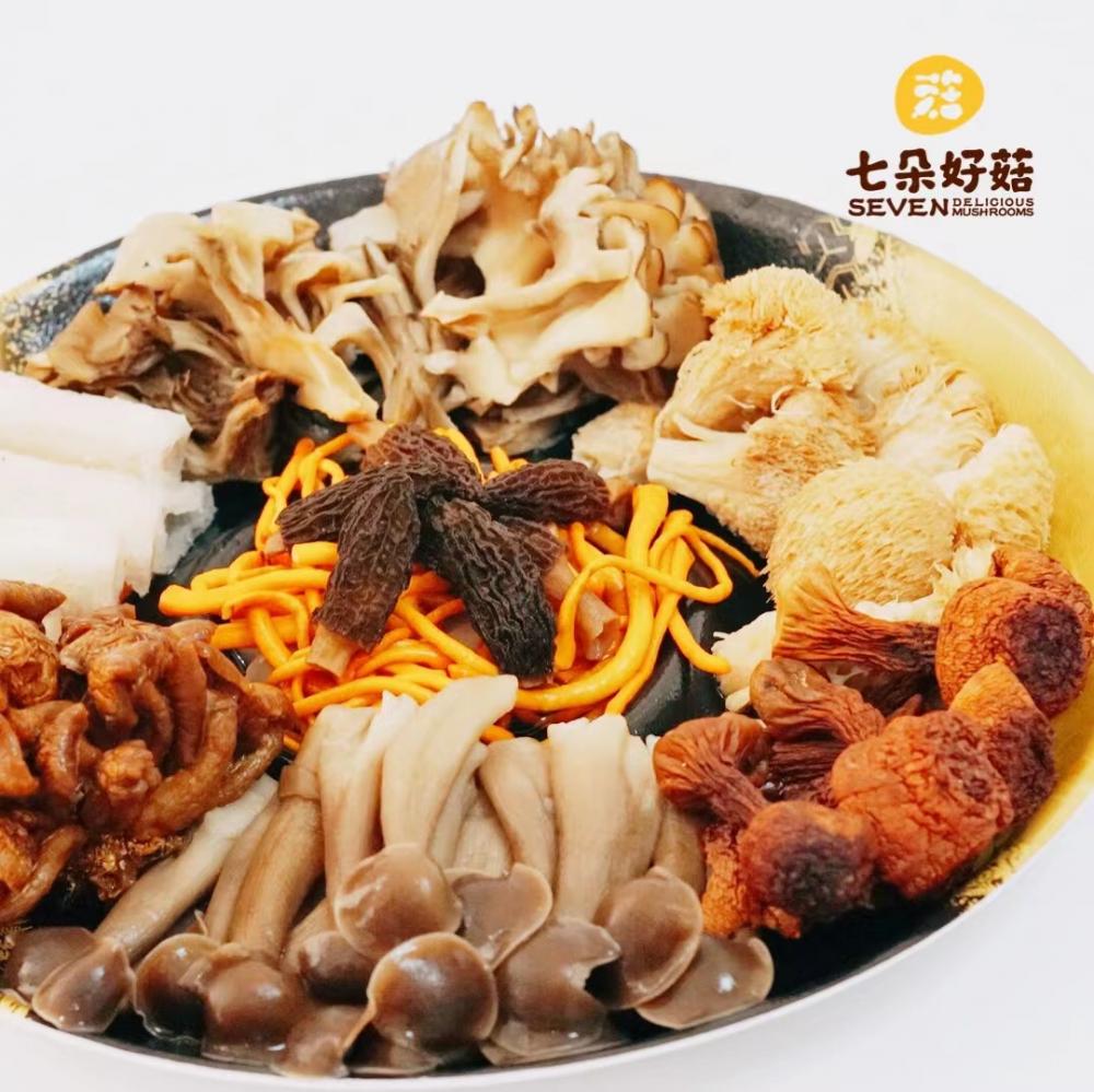 Bamboo Fungus