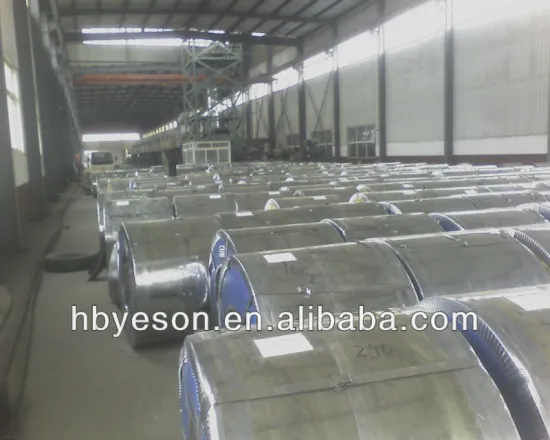 prepainted galvanized steel coils/ppgi/ppgl