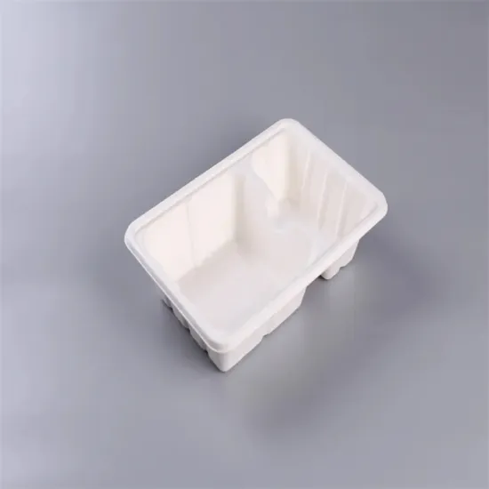 Bagasse food container takeaway lunch box disposable tray