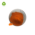 Natural Organic Sea Buckthorn Extract Flavone Powder