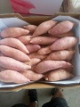 pieczone słodkie ziemniaki z Szantungu