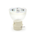 Lampu Projektor Penggantian RLC-108 untuk VIEWSONIC PA500S