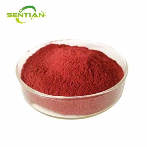 Premium Plant Extract Tanshinone IIA