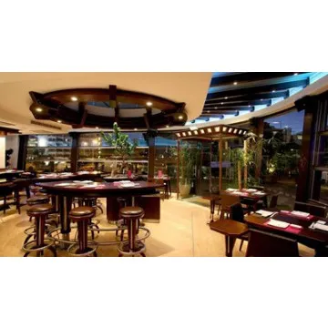 Ronse COB adjustable jcc led downlight