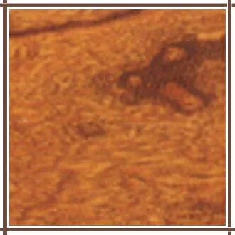 ELM antique multi-layer engineered wood flooring