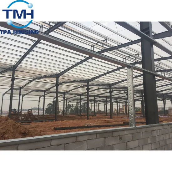 Custom Made Light Frame Structure Steel Build Workshop