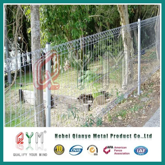 PVC Coated Brc Mesh Fence /Galvanized Fencing Mesh /Rolltop Fence Pool Fence