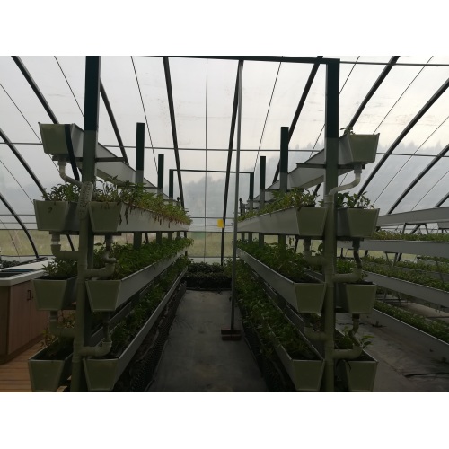 Multi layer Vertical Cultivation Frame