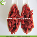 Dostawa fabryczna Owocowy pakiet Premium Goji Berries