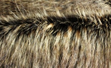 Imitation-Raccoon-Fur Eshp-255-2