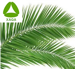 Saw Palmetto Extract Fatty Acids 25% Powder