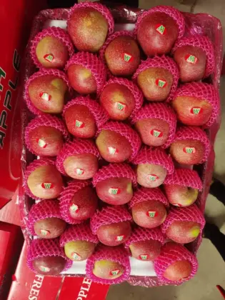 Fresh Non Bagged Qin Guan