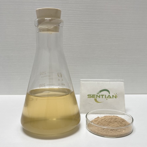 Rennet Enzyme for Cheese and Dairy Processing