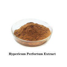 Active ingredients Hypericum Perfortum Extract