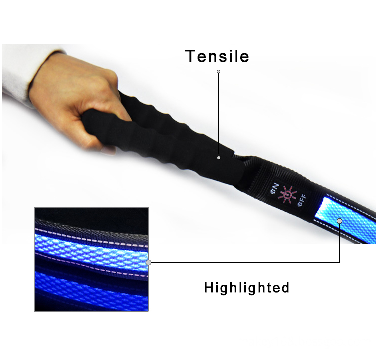 Illuminated Dog Leash