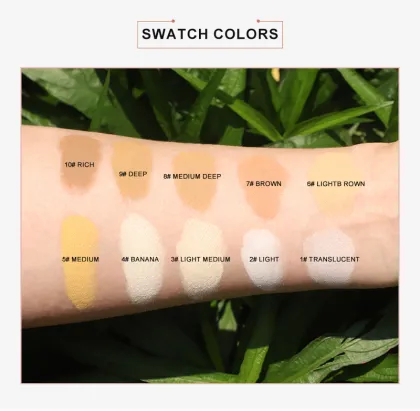 Ochain Cosmetics Wholesale: Customized Long-Lasting Oil Control Makeup & Loose Powder OEM