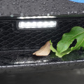 Tesla Model 3 Neta de insectos de rejilla delantera