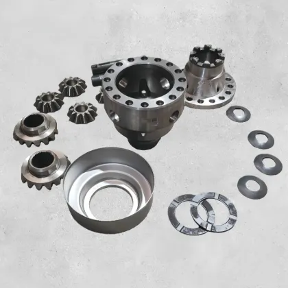 Hande HDZ300 Differential Carrier DZ90149320006