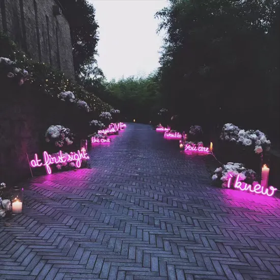 PARTY LIGHT UP NEON SIGNS