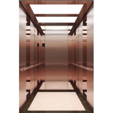 Fuji Gearless Machine Roomless Passenger Elevator for Hotels
