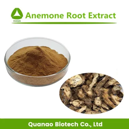 Pure Natural Anemone Root Powder Extract Anemone Extract